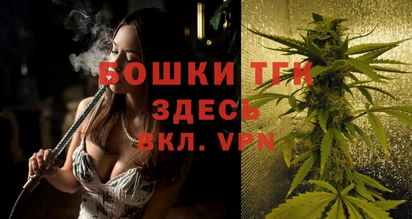ешки Алзамай