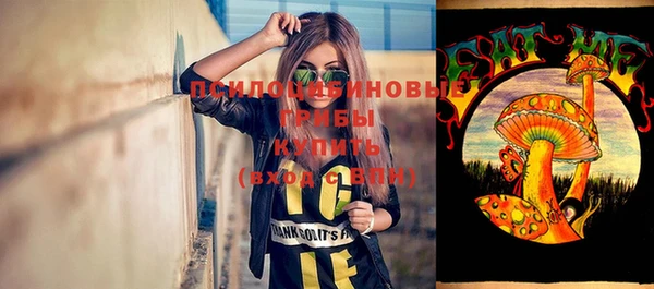 ешки Алзамай