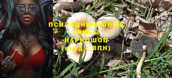 ешки Алзамай