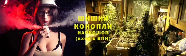 ешки Алзамай